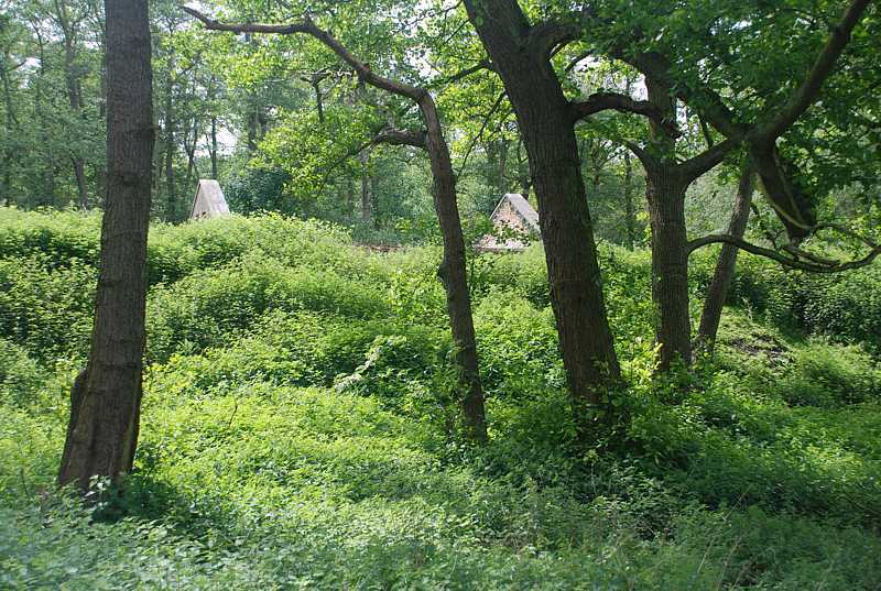 In the grounds of the Royal Gunpowder Mills, Waltham Abbey