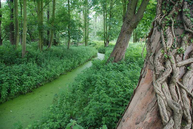 In the grounds of the Royal Gunpowder Mills, Waltham Abbey