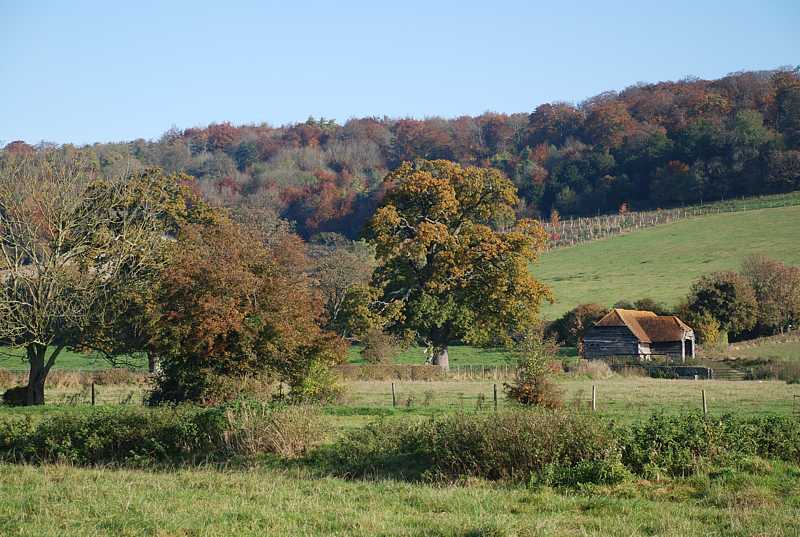 Old barn in the Hambleden valley, Bucks