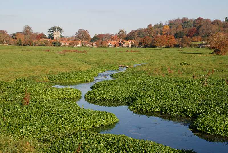 Stream near Hambleden village