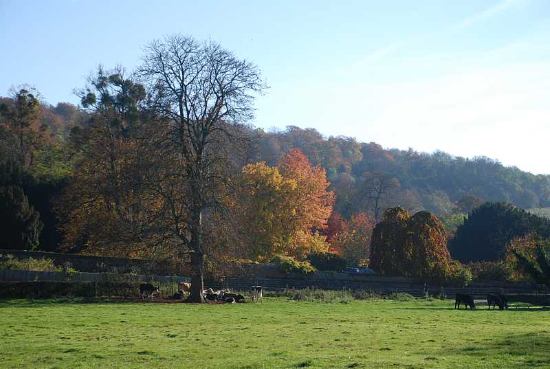 Fields near Hambleden