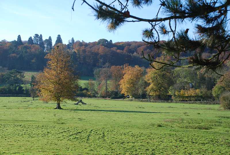 Fields in the Hambleden valley