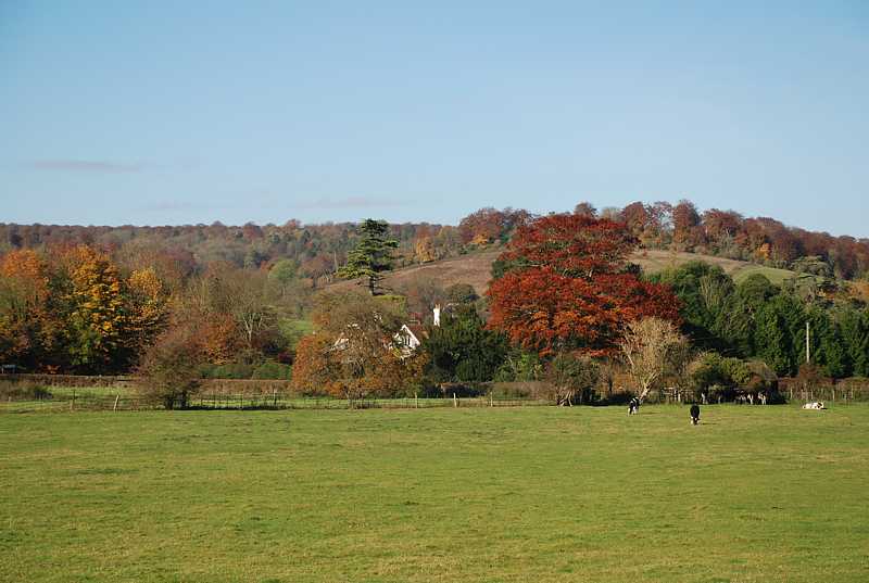 Fields in the Hambleden valley
