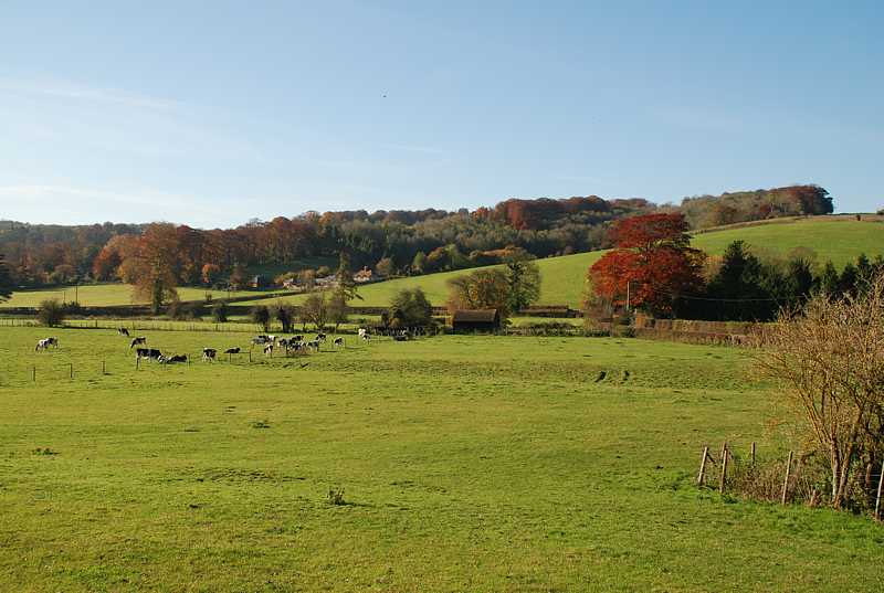 Fields in the Hambleden valley