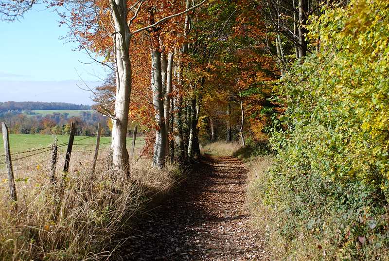 Footpath into the Hambleden valley