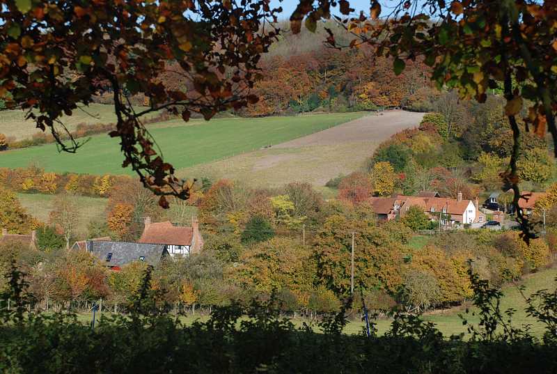 Autumn colours