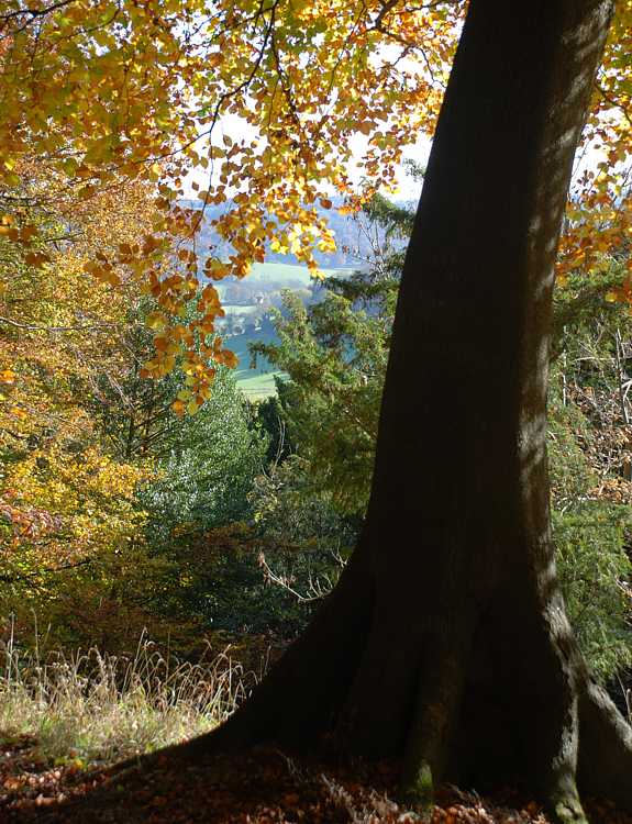 Looking down into the Hambleden valley