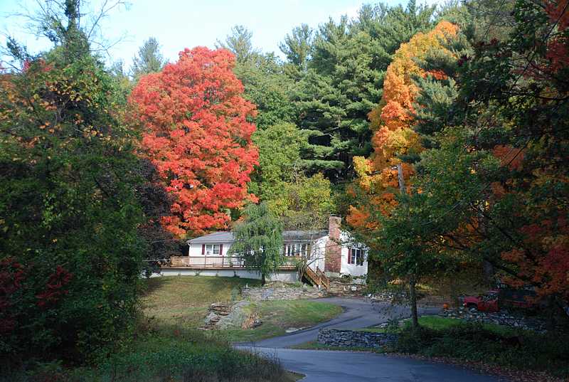 Fall foliage