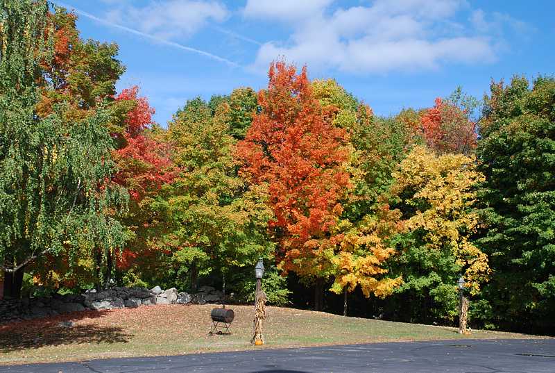 Fall foliage, Bolton, Ma