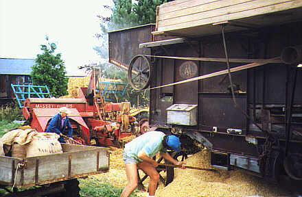 Threshing machine at Sheaf to Loaf Day